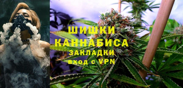 винт Нея