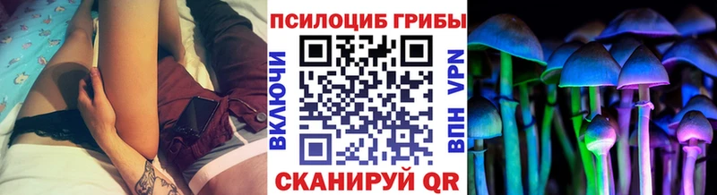 mega онион  купить закладку  Краснообск  Галлюциногенные грибы ЛСД 