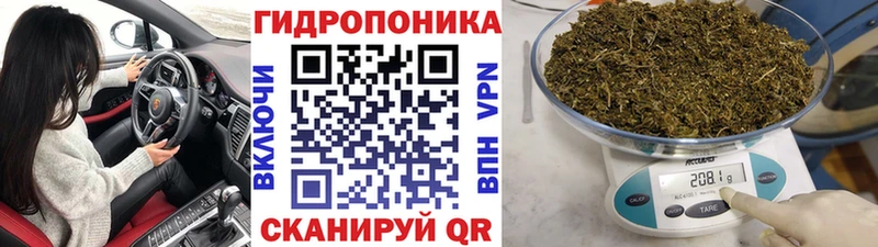 Конопля VHQ Краснообск